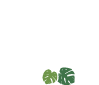 De Raiz